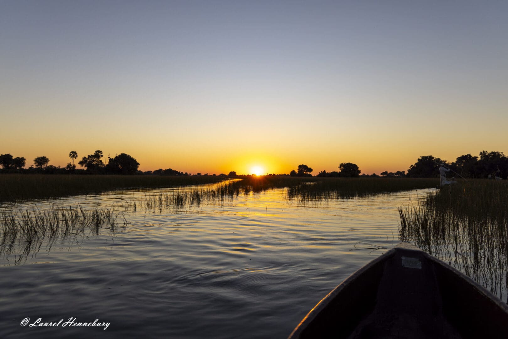 Sunset over calm river with reeds.
